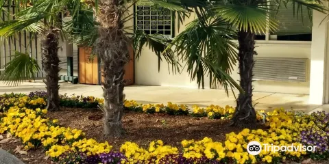 New Hanover County Arboretum