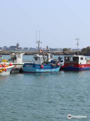 Port de pêche de Saint-Guénolé