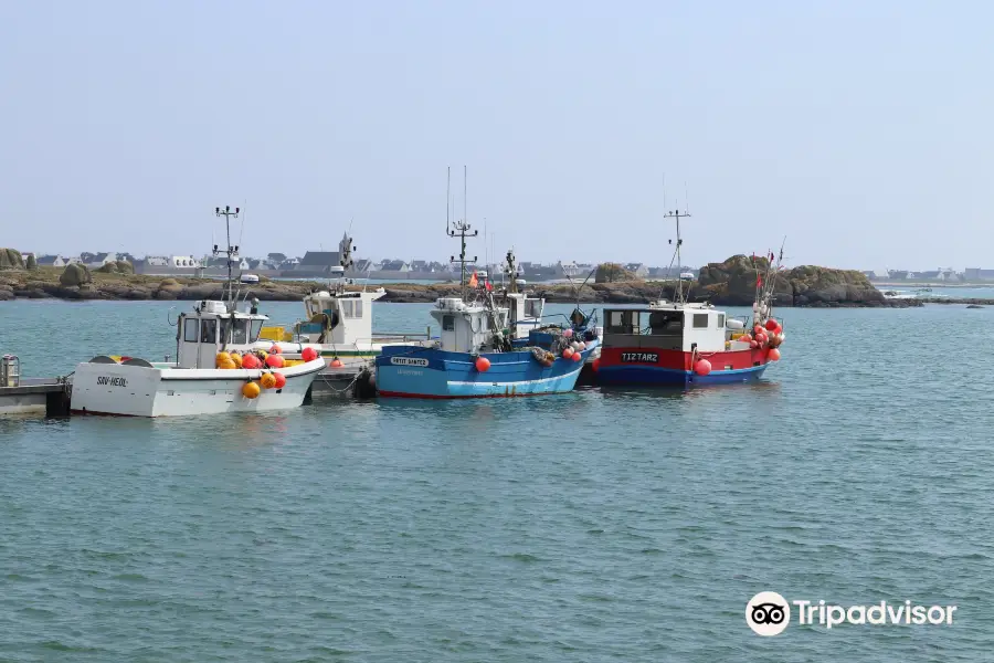 Port de pêche de Saint-Guénolé