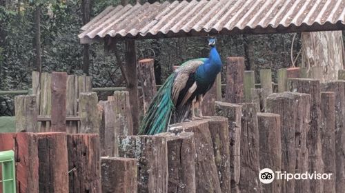 Zoologico de Americana