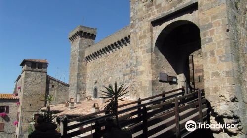 Museo Territoliale Del Lago Di Bolsena