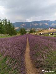 Parco della lavanda