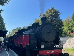 Steam train of Cevennes