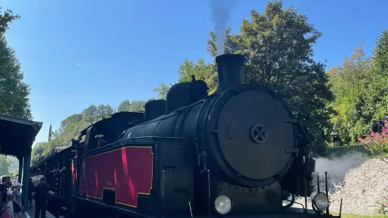 Steam train of Cevennes