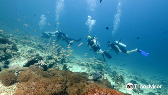 Kon-Tiki Khao Lak Diving & Snorkeling Center - Khao Lak