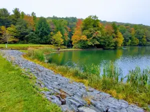 Kooser State park