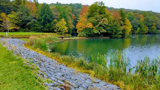 Kooser State Park