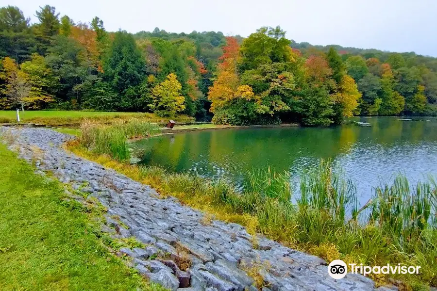 Kooser State park