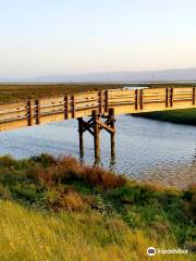 Don Edwards San Francisco National Wildlife Refuge