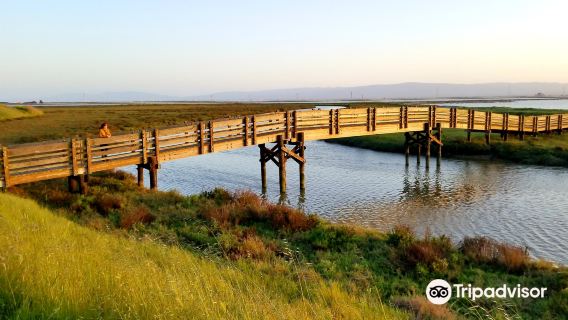 Don Edwards San Francisco Bay National Wildlife Refuge