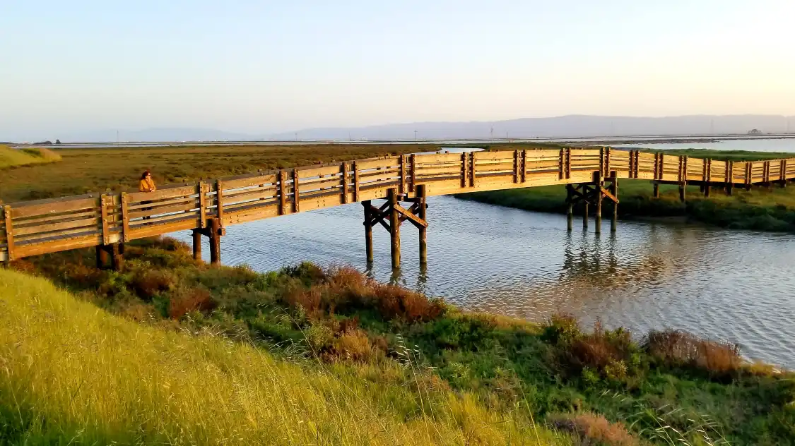 Hotels near Don Edwards San Francisco Bay National Wildlife Refuge