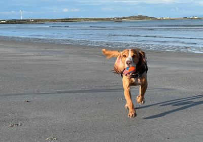 Isle of Tiree