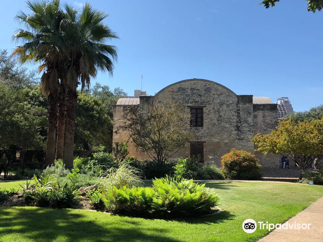 3_The Alamo