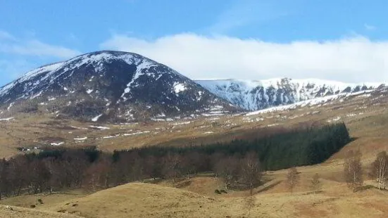 Kirriemuir Golf Club