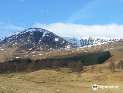 Kirriemuir Golf Club