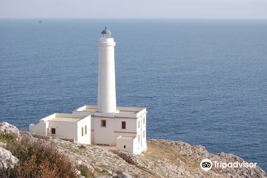 Museo Su Ecologia degli Ecosistemi Mediterranei