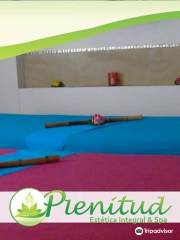 Plenitud Estetica Integral y Spa