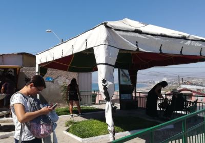 Mosque of Coquimbo - Centro Mohammed VI para el Dialogo de las Civilizaciones