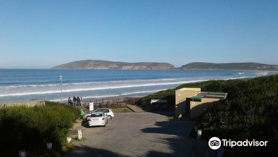 Robberg 5 Beach