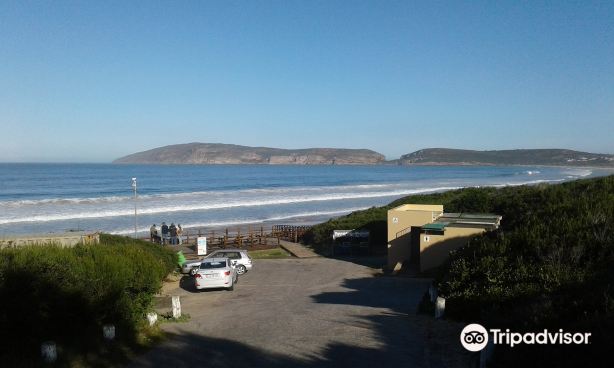 Robberg 5 Beach
