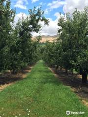 Miller Orchards