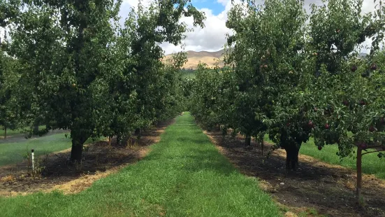 Miller Orchards