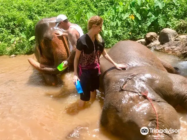 Elephant Peace Travel Office