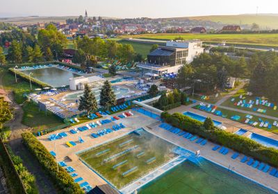 Vrbov