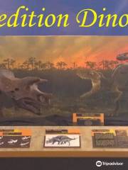 The Palm Beach Museum of Natural History