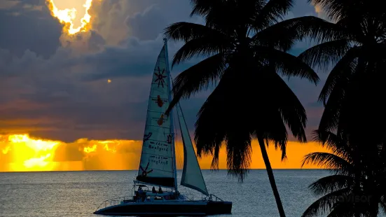 Cool Runnings Catamaran Cruises