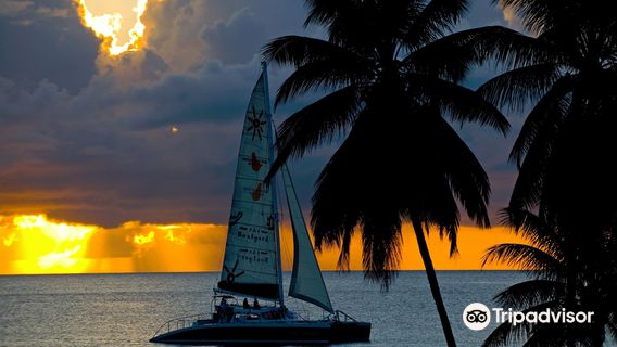 Cool Runnings Catamaran Cruises