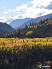 Kantishna Wilderness Trails