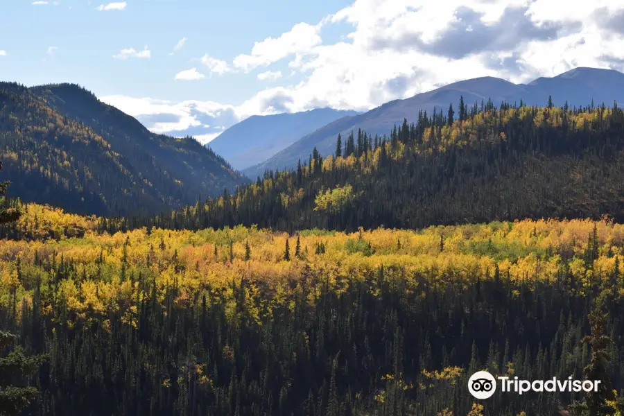 Kantishna Wilderness Trails