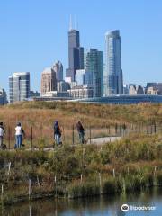 Segway Experience of Chicago