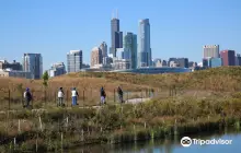 Segway Experience of Chicago