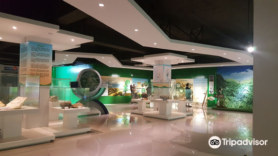 Clark Museum and 4D theater