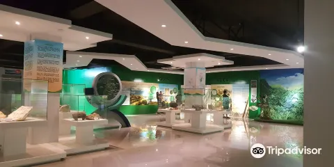 克拉克博物館/ 4D劇院