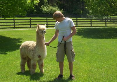 Spruce Ridge Farm