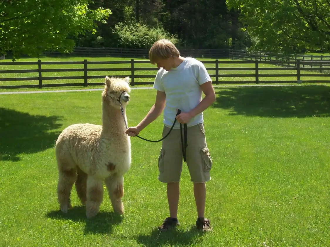 Hôtels à proximité de : Spruce Ridge Farm