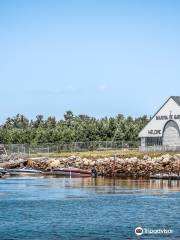 Bathurst Marina