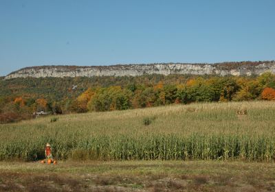 Jenkins - Lueken Orchards