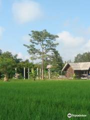 Da's Organic Farm Hut Thai Cooking School
