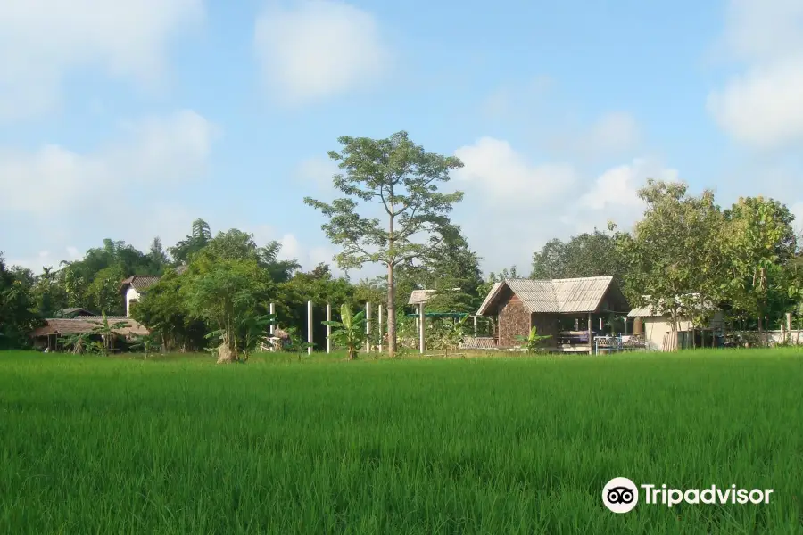 Da's Organic Farm Hut Thai Cooking School