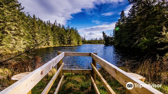 Blanemore Forest Archaeological Walk