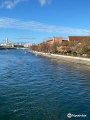 Rheinufer Basel