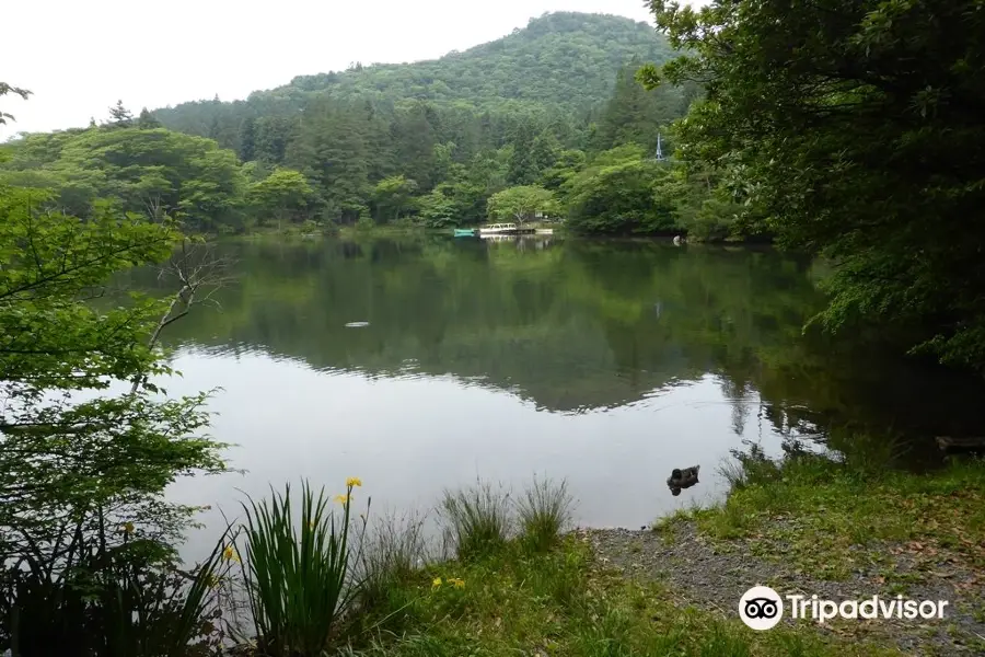 白雲の池