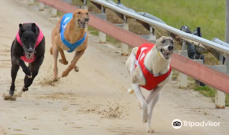 North West Greyhound Racing Club