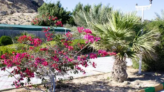 Qeshm Noopak Crocodile Park