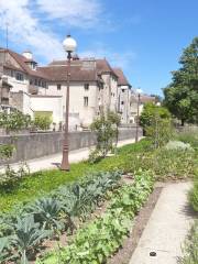 Jardin Botanique des Chevannes