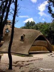 Casa Dinosauro Baratti